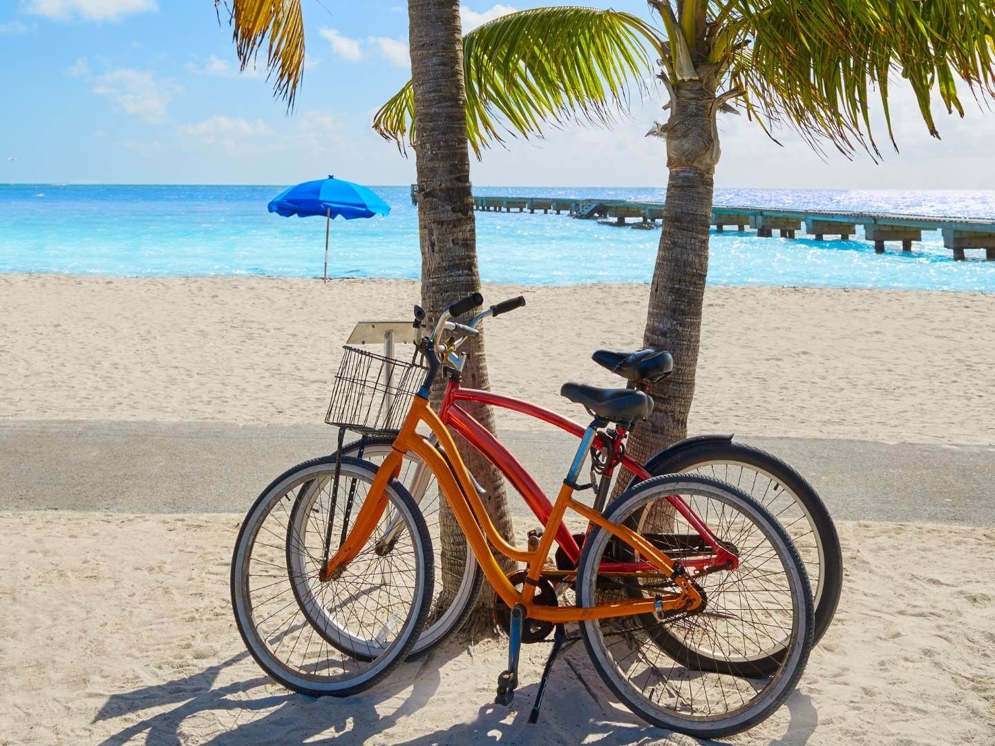 Florida Best Beach Bike Trails Bike Ride Everglades Bike Trail